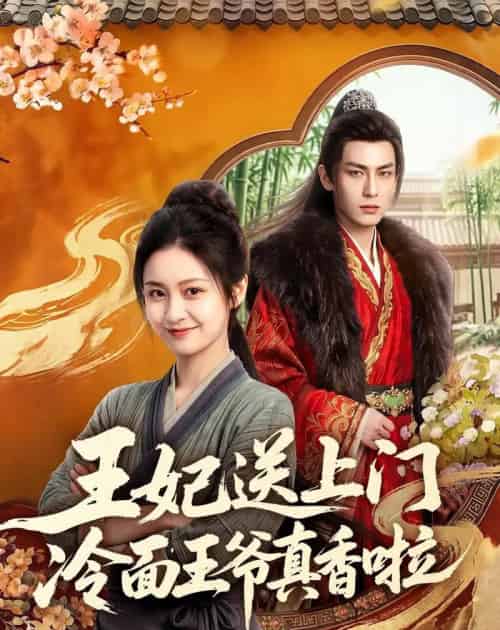 王妃送上门冷面王爷真香啦（50集全）AI-紫橙网创项目网