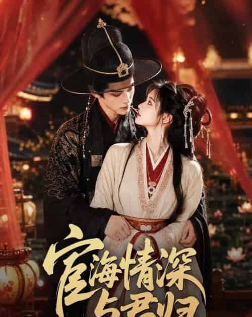 宦海情深与君归（60集全）AI-紫橙网创项目网