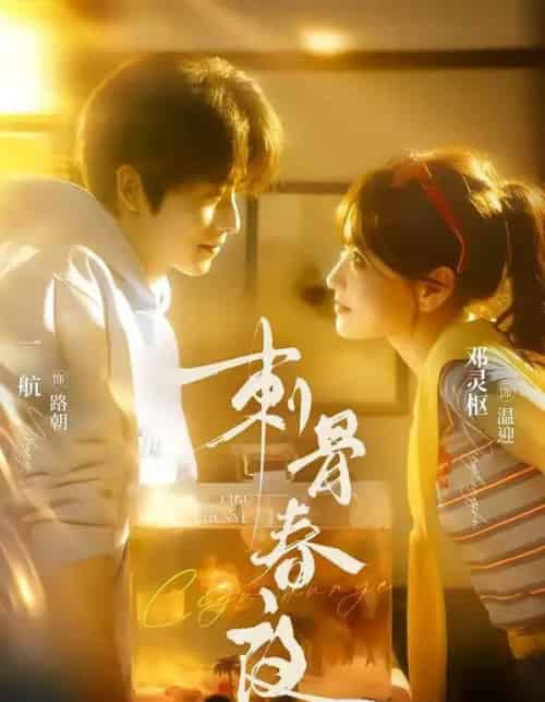 刺骨春夜（85集全）一航＆邓灵枢-紫橙网创项目网