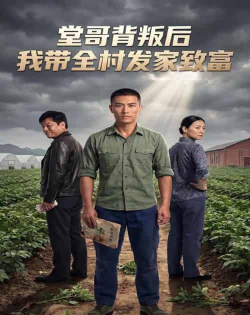 堂哥背叛后，我带全村发家致富（35集全）AI-紫橙网创项目网