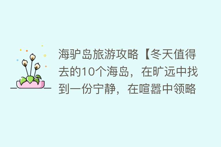海驴岛旅游攻略【冬天值得去的10个海岛，在旷远中找到一份宁静，在喧嚣中领略一份】