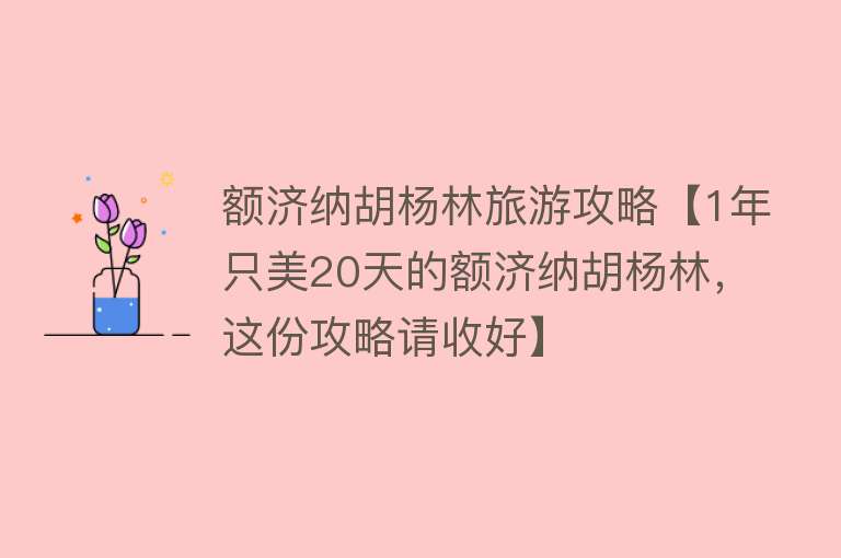 额济纳胡杨林旅游攻略【1年只美20天的额济纳胡杨林，这份攻略请收好】