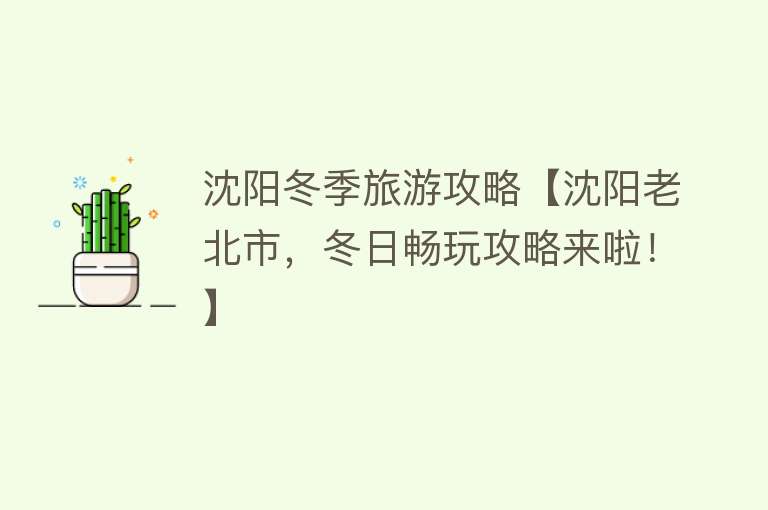 沈阳冬季旅游攻略【沈阳老北市，冬日畅玩攻略来啦！】