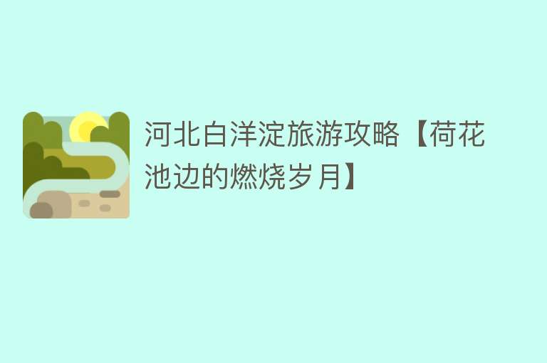河北白洋淀旅游攻略【荷花池边的燃烧岁月】