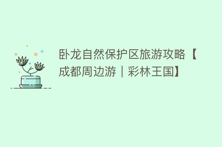 卧龙自然保护区旅游攻略【成都周边游｜彩林王国】