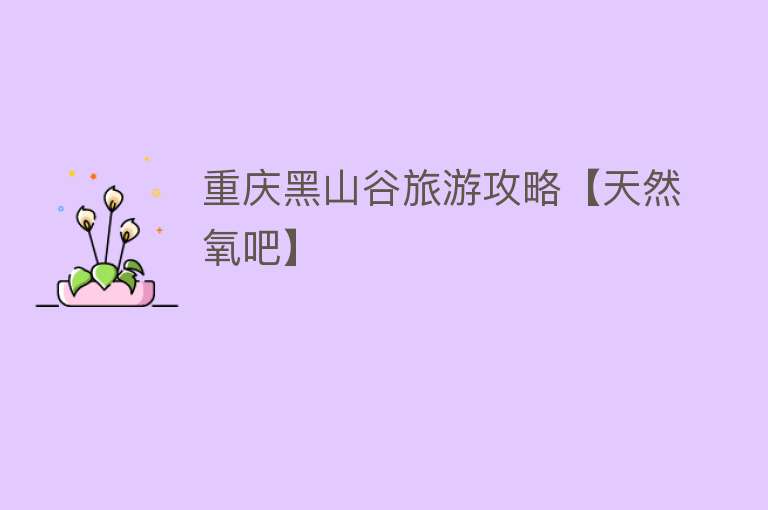 重庆黑山谷旅游攻略【天然氧吧】