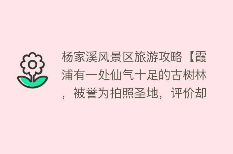 杨家溪风景区旅游攻略【霞浦有一处仙气十足的古树林，被誉为拍照圣地，评价却褒贬不一】