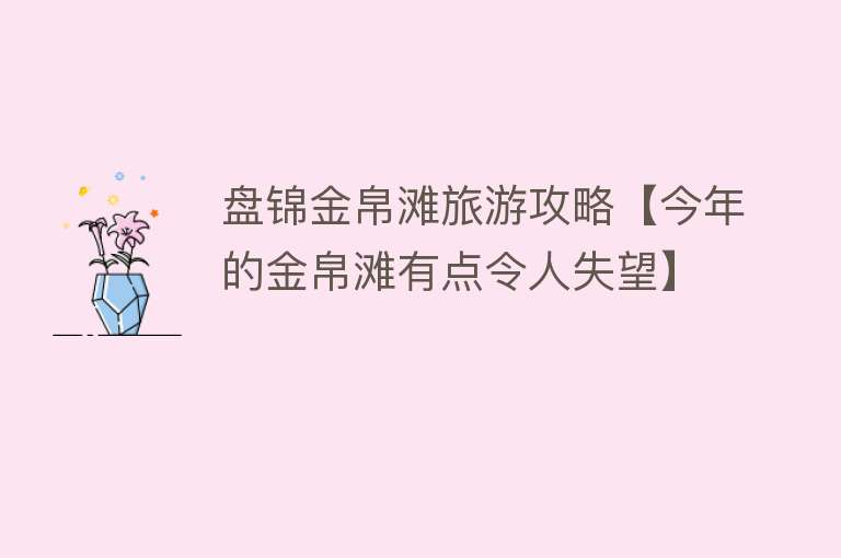盘锦金帛滩旅游攻略【今年的金帛滩有点令人失望】