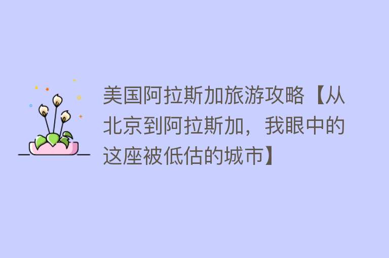 美国阿拉斯加旅游攻略【从北京到阿拉斯加，我眼中的这座被低估的城市】