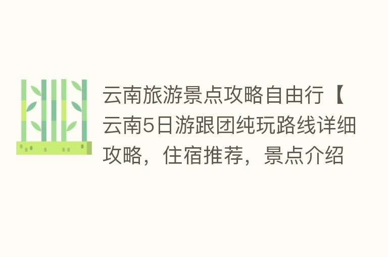 云南旅游景点攻略自由行【云南5日游跟团纯玩路线详细攻略，住宿推荐，景点介绍一网打尽！】