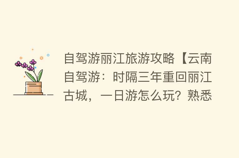 自驾游丽江旅游攻略【云南自驾游：时隔三年重回丽江古城，一日游怎么玩？熟悉又陌生】