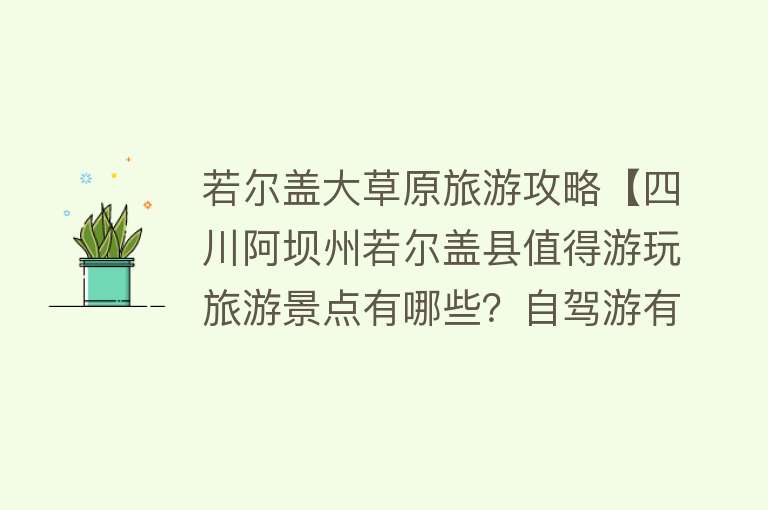 若尔盖大草原旅游攻略【四川阿坝州若尔盖县值得游玩旅游景点有哪些？自驾游有什么攻略？】
