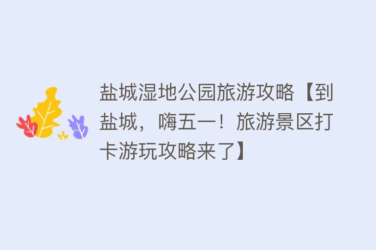 盐城湿地公园旅游攻略【到盐城，嗨五一！旅游景区打卡游玩攻略来了】