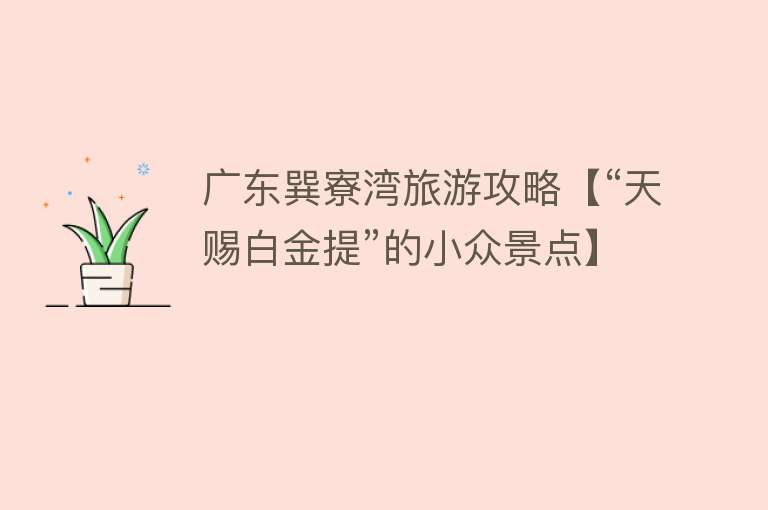 广东巽寮湾旅游攻略【“天赐白金提”的小众景点】