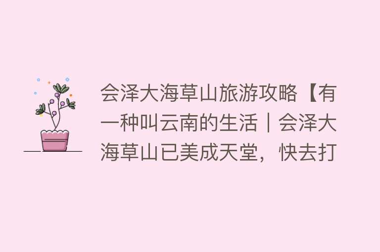 会泽大海草山旅游攻略【有一种叫云南的生活｜会泽大海草山已美成天堂，快去打卡吧】