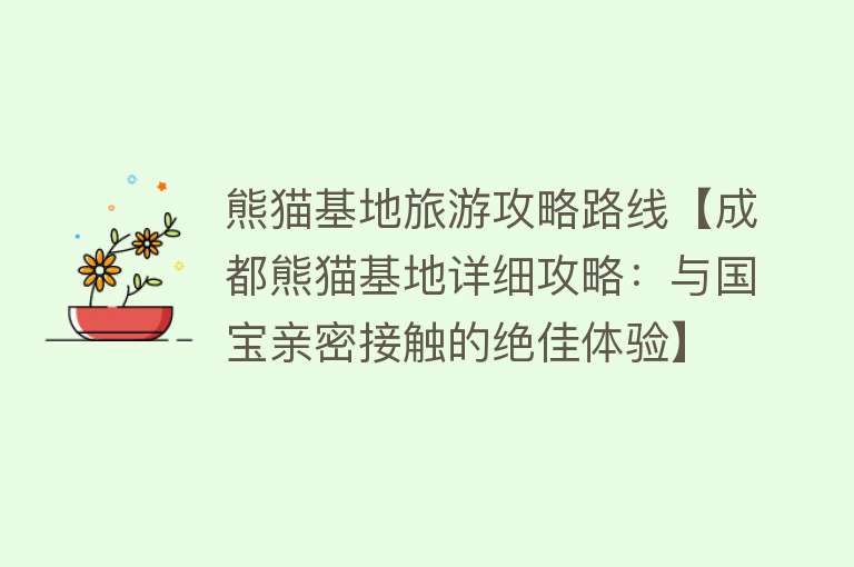 熊猫基地旅游攻略路线【成都熊猫基地详细攻略：与国宝亲密接触的绝佳体验】