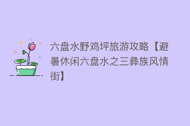 六盘水野鸡坪旅游攻略【避暑休闲六盘水之三彝族风情街】