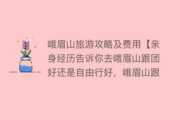 峨眉山旅游攻略及费用【亲身经历告诉你去峨眉山跟团好还是自由行好，峨眉山跟团旅游价格】