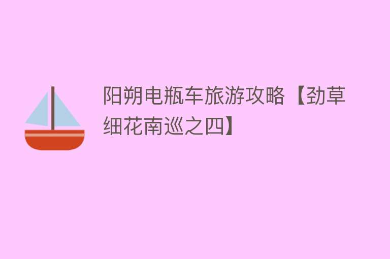 阳朔电瓶车旅游攻略【劲草细花南巡之四】