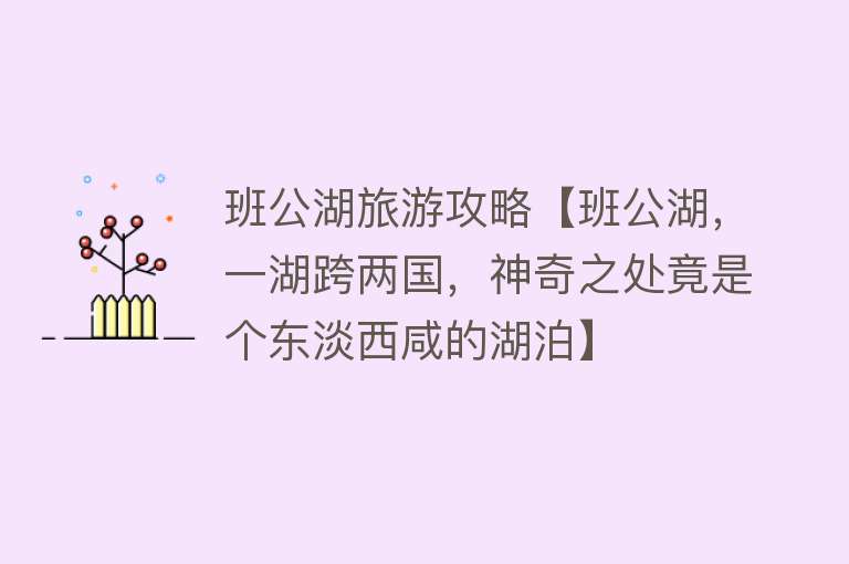 班公湖旅游攻略【班公湖，一湖跨两国，神奇之处竟是个东淡西咸的湖泊】
