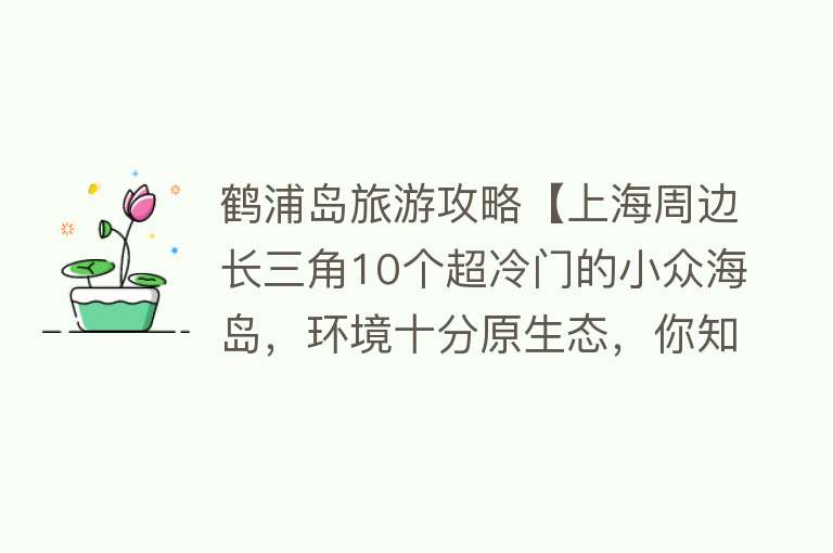 鹤浦岛旅游攻略【上海周边长三角10个超冷门的小众海岛，环境十分原生态，你知道吗】