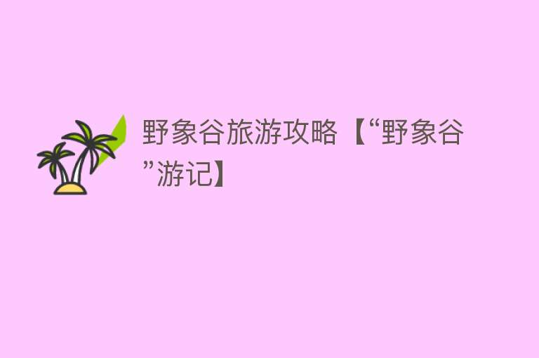 野象谷旅游攻略【“野象谷”游记】