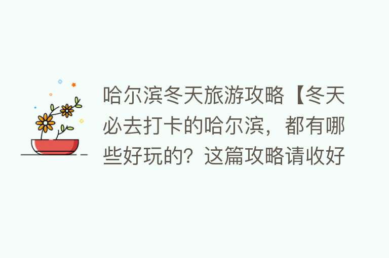 哈尔滨冬天旅游攻略【冬天必去打卡的哈尔滨，都有哪些好玩的？这篇攻略请收好】