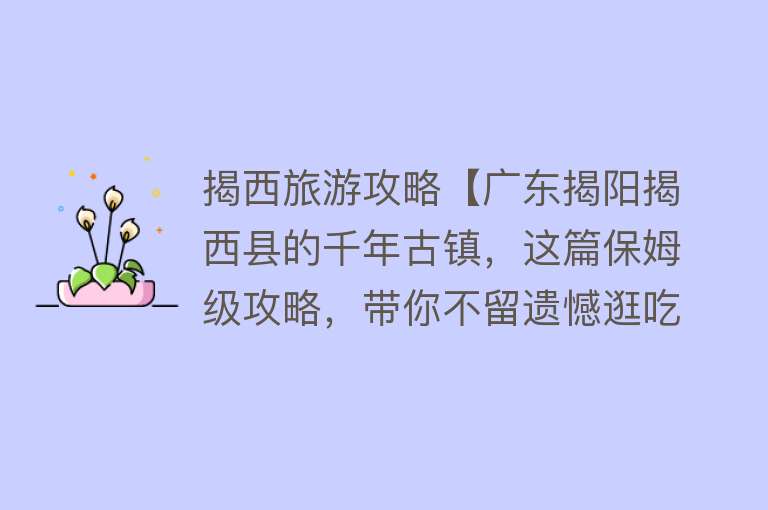 揭西旅游攻略【广东揭阳揭西县的千年古镇，这篇保姆级攻略，带你不留遗憾逛吃玩】