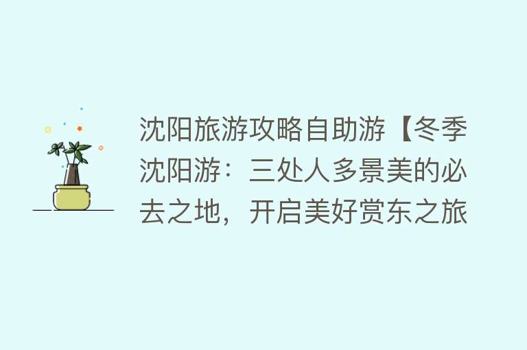 沈阳旅游攻略自助游【冬季沈阳游：三处人多景美的必去之地，开启美好赏东之旅】