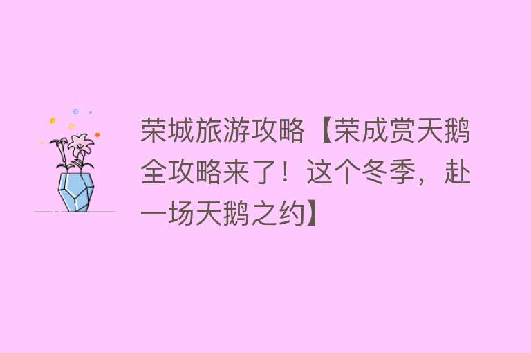 荣城旅游攻略【荣成赏天鹅全攻略来了！这个冬季，赴一场天鹅之约】