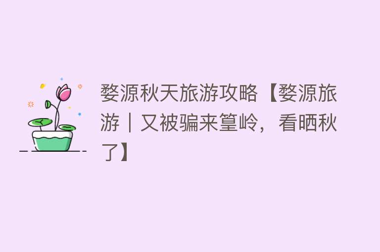 婺源秋天旅游攻略【婺源旅游｜又被骗来篁岭，看晒秋了】