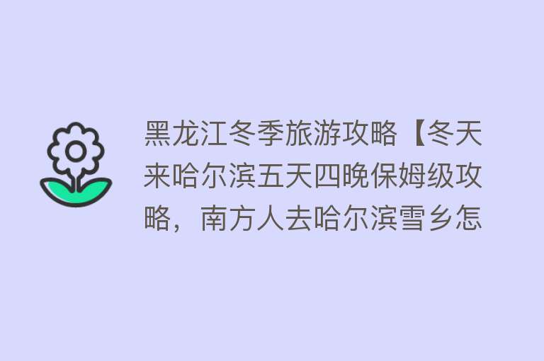 黑龙江冬季旅游攻略【冬天来哈尔滨五天四晚保姆级攻略，南方人去哈尔滨雪乡怎么玩】