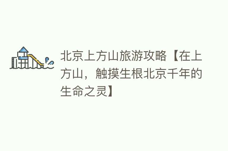 北京上方山旅游攻略【在上方山，触摸生根北京千年的生命之灵】