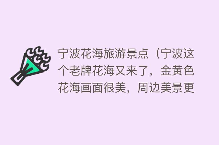 宁波花海旅游景点（宁波这个老牌花海又来了，金黄色花海画面很美，周边美景更多）