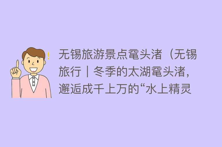 无锡旅游景点鼋头渚（无锡旅行｜冬季的太湖鼋头渚，邂逅成千上万的“水上精灵”）