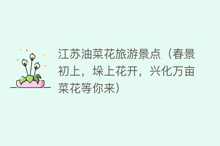 江苏油菜花旅游景点（春景初上，垛上花开，兴化万亩菜花等你来）