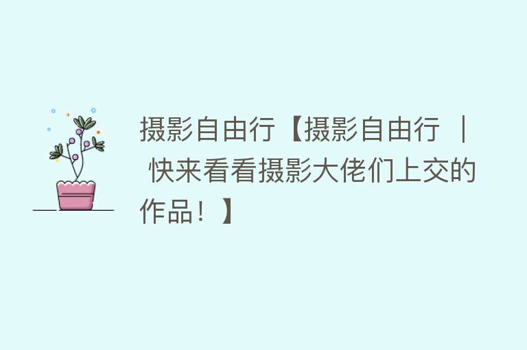 摄影自由行【摄影自由行 ｜ 快来看看摄影大佬们上交的作品！】