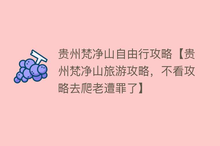 贵州梵净山自由行攻略【贵州梵净山旅游攻略，不看攻略去爬老遭罪了】
