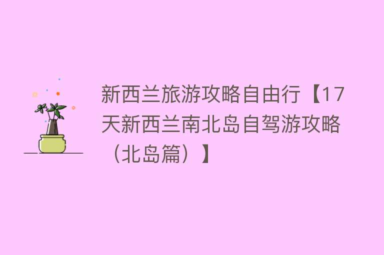 新西兰旅游攻略自由行【17天新西兰南北岛自驾游攻略（北岛篇）】