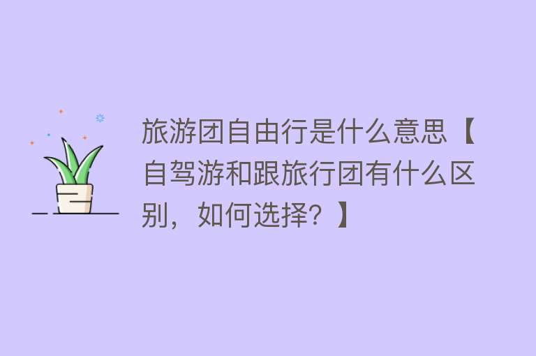 旅游团自由行是什么意思【自驾游和跟旅行团有什么区别，如何选择？】