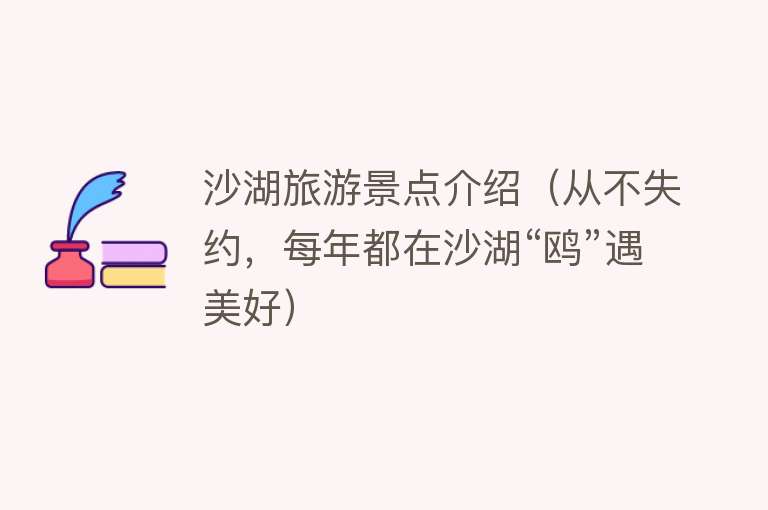 沙湖旅游景点介绍（从不失约，每年都在沙湖“鸥”遇美好）