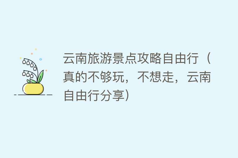 云南旅游景点攻略自由行（真的不够玩，不想走，云南自由行分享）