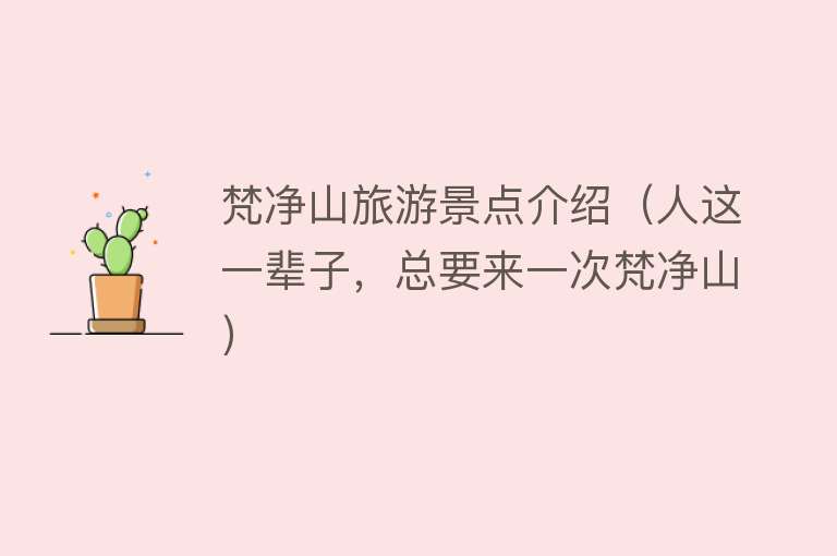 梵净山旅游景点介绍（人这一辈子，总要来一次梵净山）