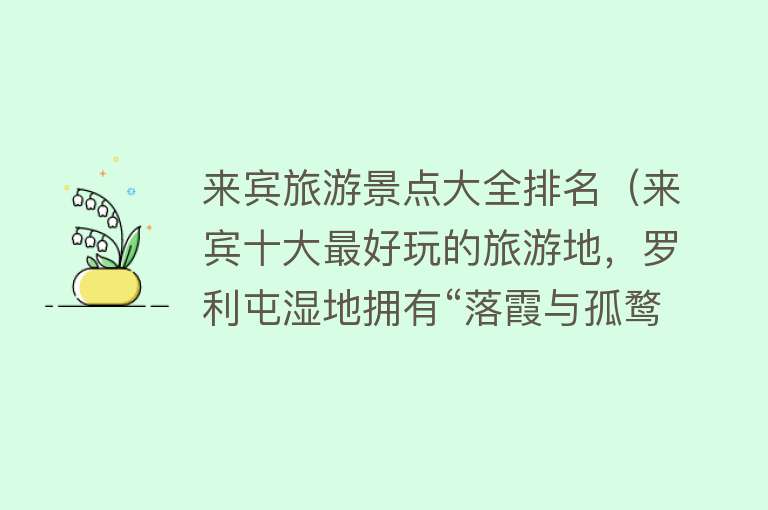 来宾旅游景点大全排名（来宾十大最好玩的旅游地，罗利屯湿地拥有“落霞与孤鹜齐飞”的景色）