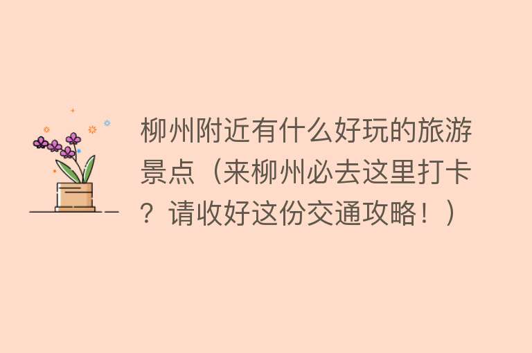 柳州附近有什么好玩的旅游景点（来柳州必去这里打卡？请收好这份交通攻略！）