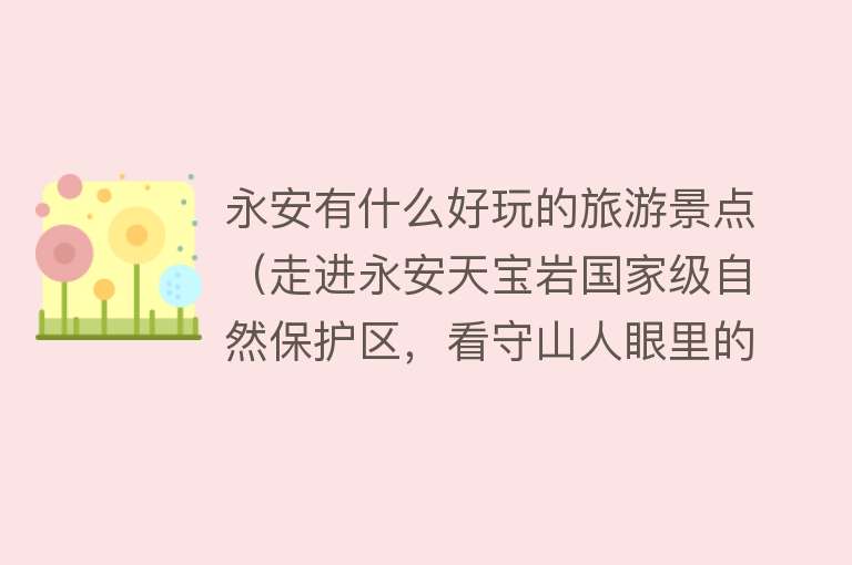 永安有什么好玩的旅游景点（走进永安天宝岩国家级自然保护区，看守山人眼里的万物生灵→）