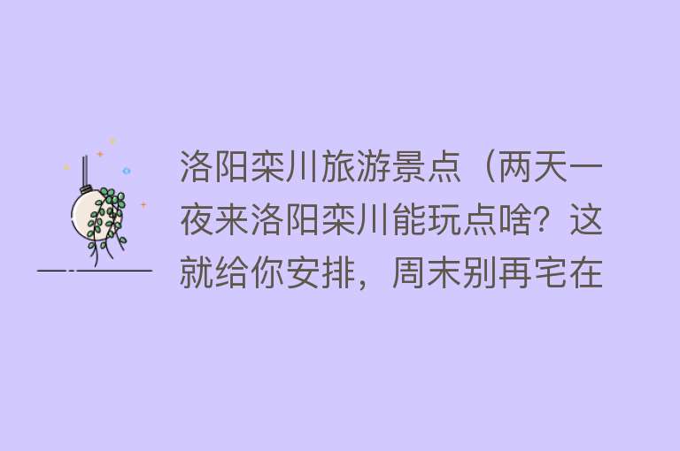 洛阳栾川旅游景点（两天一夜来洛阳栾川能玩点啥？这就给你安排，周末别再宅在家啦！）