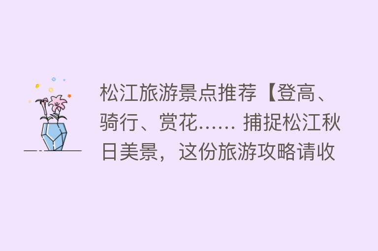 松江旅游景点推荐【登高、骑行、赏花…… 捕捉松江秋日美景，这份旅游攻略请收下】
