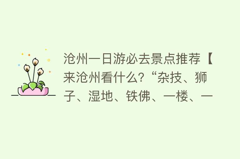 沧州一日游必去景点推荐【来沧州看什么？“杂技、狮子、湿地、铁佛、一楼、一庙、一座城”】