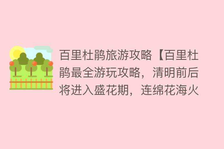 百里杜鹃旅游攻略【百里杜鹃最全游玩攻略，清明前后将进入盛花期，连绵花海火爆来袭】